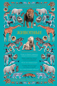 бесплатно читать книгу Животные. Иллюстрированный гид автора Анастасия Чудова