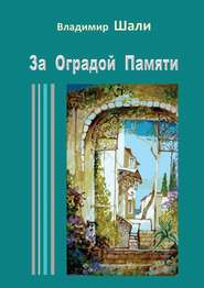 бесплатно читать книгу За оградой памяти автора Владимир Шали