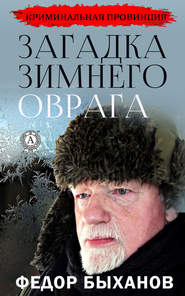 бесплатно читать книгу Загадка зимнего оврага автора Фёдор Быханов