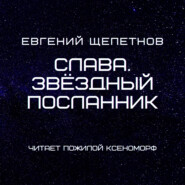 бесплатно читать книгу Слава. Звёздный посланник автора Евгений Щепетнов