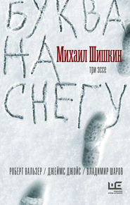 бесплатно читать книгу Буква на снегу автора Михаил Шишкин
