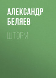 бесплатно читать книгу Шторм автора Александр Беляев