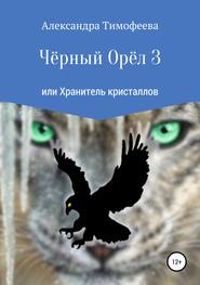 бесплатно читать книгу Чёрный Орёл 3 или Хранитель кристаллов автора Александра Тимофеева