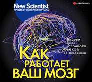 бесплатно читать книгу Как работает ваш мозг автора  Сборник