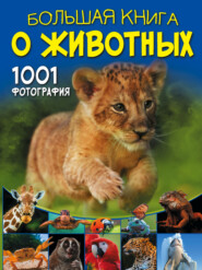 бесплатно читать книгу Большая книга о животных. 1001 фотография автора Дарья Ермакович