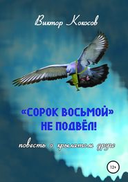 бесплатно читать книгу «Сорок восьмой» не подвёл (повесть о крылатом друге) автора Виктор Кокосов
