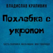 бесплатно читать книгу Похлебка с укропом автора Владислав Крапивин