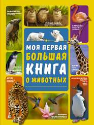 бесплатно читать книгу Моя первая большая книга о животных автора Любовь Вайткене