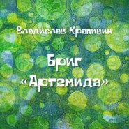 бесплатно читать книгу Бриг «Артемида» автора Владислав Крапивин