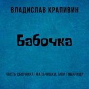 бесплатно читать книгу Бабочка автора Владислав Крапивин