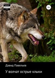 бесплатно читать книгу У волчат острые клыки автора Давид Павельев