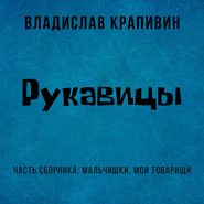 бесплатно читать книгу Рукавицы автора Владислав Крапивин