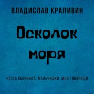 бесплатно читать книгу Осколок моря автора Владислав Крапивин
