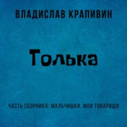 бесплатно читать книгу Толька автора Владислав Крапивин