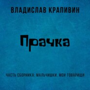 бесплатно читать книгу Прачка автора Владислав Крапивин