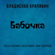 бесплатно читать книгу Бабочка автора Владислав Крапивин