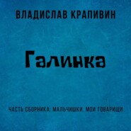 бесплатно читать книгу Галинка автора Владислав Крапивин