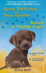 бесплатно читать книгу Щенок Кнопочка, или Умная малышка / Buttons the Runaway Puppy автора Холли Вебб