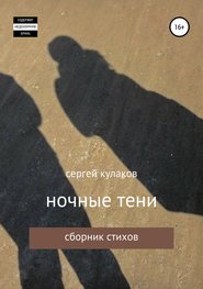 бесплатно читать книгу ночные тени автора Сергей Кулаков
