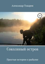 бесплатно читать книгу Соколиный остров автора Александр Токарев