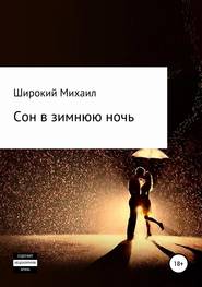 бесплатно читать книгу Сон в зимнюю ночь автора Михаил Широкий