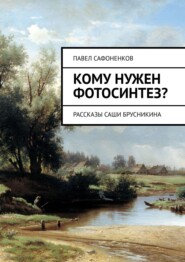 бесплатно читать книгу Кому нужен фотосинтез? Рассказы Саши Брусникина автора Павел Сафоненков