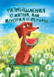 бесплатно читать книгу Размышления о жизни, или История о Мерлине автора Татьяна Шумакова