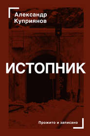 бесплатно читать книгу Истопник автора Александр Куприянов