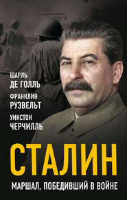 бесплатно читать книгу Сталин. Маршал, победивший в войне автора Уинстон Черчилль