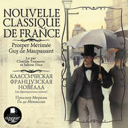 бесплатно читать книгу Nouvelle classique de France автора  Сборник