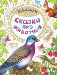 бесплатно читать книгу Сказки про животных автора Виталий Бианки