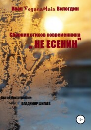 бесплатно читать книгу Не Есенин автора Иван Вологдин