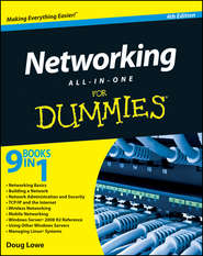 бесплатно читать книгу Networking All-in-One For Dummies автора Doug Lowe