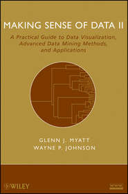 бесплатно читать книгу Making Sense of Data II автора Wayne Johnson