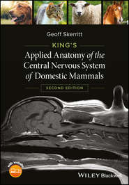бесплатно читать книгу King's Applied Anatomy of the Central Nervous System of Domestic Mammals автора Geoff Skerritt