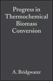 бесплатно читать книгу Progress in Thermochemical Biomass Conversion автора A. Bridgwater