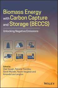 бесплатно читать книгу Biomass Energy with Carbon Capture and Storage (BECCS) автора Sarah Mander