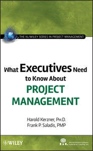 бесплатно читать книгу What Executives Need to Know About Project Management автора Harold Kerzner