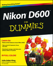 бесплатно читать книгу Nikon D600 For Dummies автора Julie King
