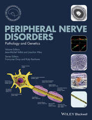 бесплатно читать книгу Peripheral Nerve Disorders автора Jean-Michel Vallat