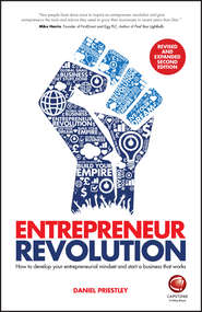 бесплатно читать книгу Entrepreneur Revolution автора Daniel Priestley