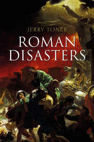 бесплатно читать книгу Roman Disasters автора Jerry Toner