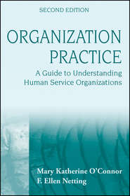 бесплатно читать книгу Organization Practice автора Mary O'Connor