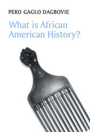 бесплатно читать книгу What is African American History? автора Pero Dagbovie