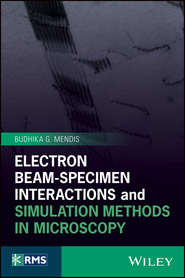 бесплатно читать книгу Electron Beam-Specimen Interactions and Simulation Methods in Microscopy автора Budhika Mendis