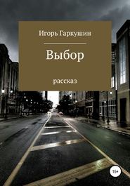 бесплатно читать книгу Выбор автора Игорь Гаркушин
