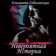 бесплатно читать книгу Невероятная история автора Елизавета Соболянская