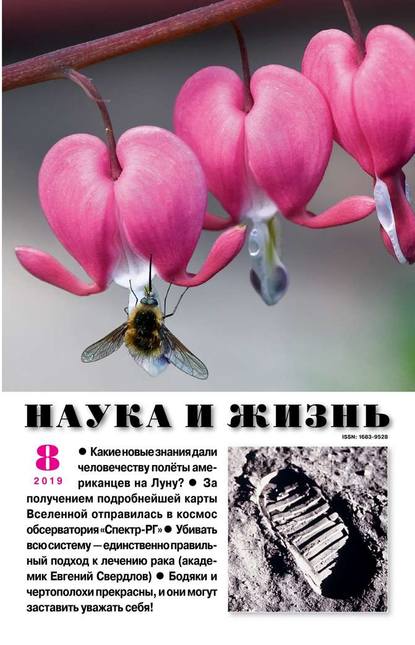 Наука и Жизнь 08-2019