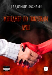 бесплатно читать книгу Менеджер по покупкам душ автора Владимир Васильев