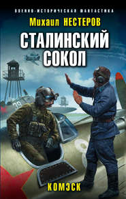 бесплатно читать книгу Сталинский сокол. Комэск автора Михаил Нестеров